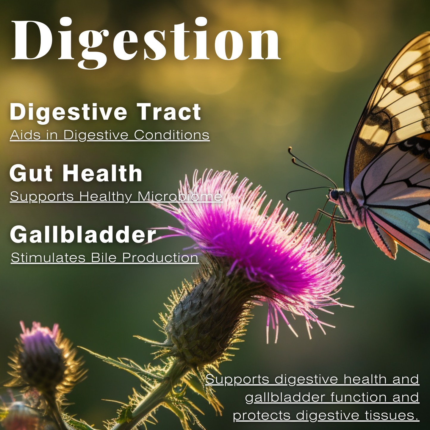 Milk Thistle Seed CO2 Extract