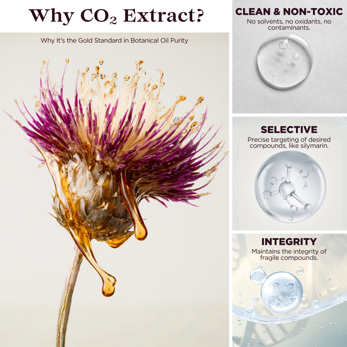 
                  
                    Milk Thistle Seed CO2 Extract
                  
                