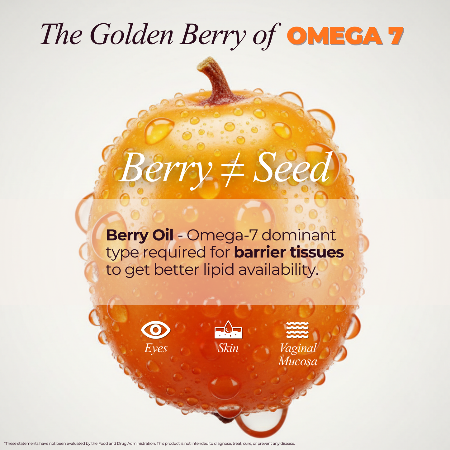 
                  
                    Sea Buckthorn Oil 2 fl oz
                  
                