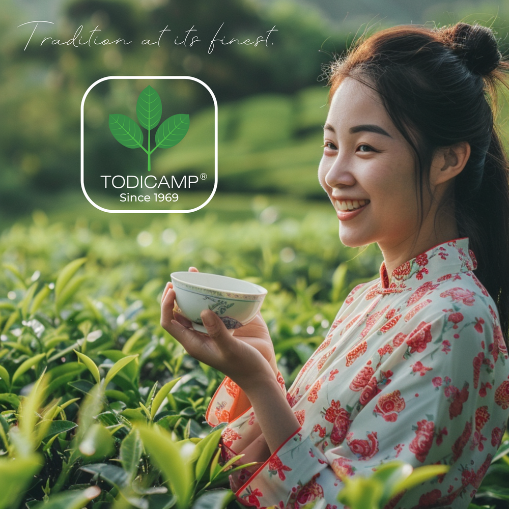 Todicamp Store