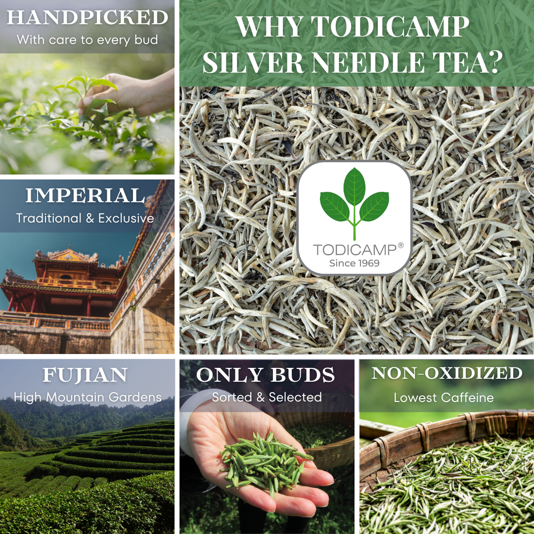 Tea Silver Buy Silver Needle Tea - White Tea by TODICAMP