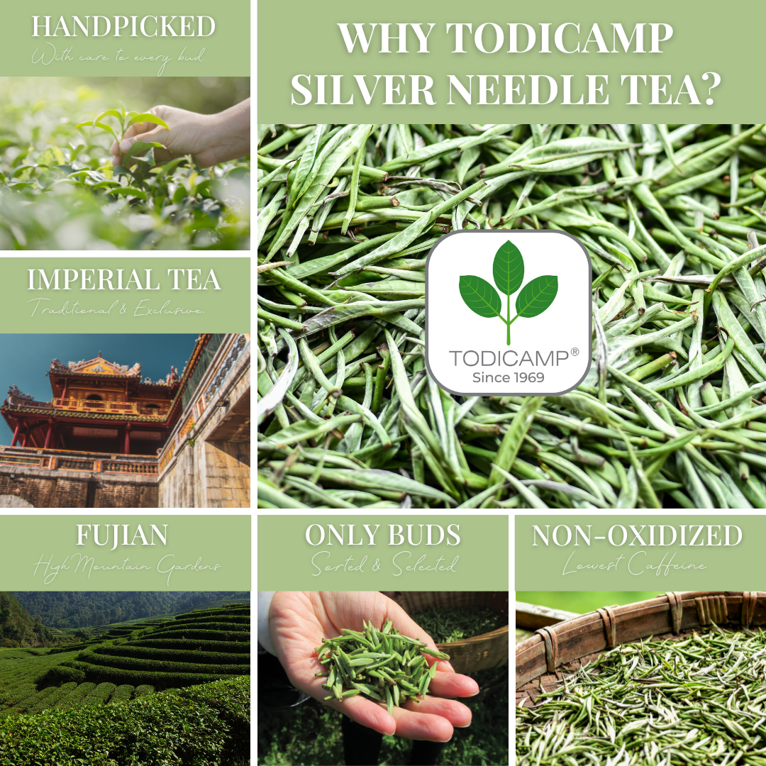 
                  
                    Silver Needle Tea 3 oz
                  
                